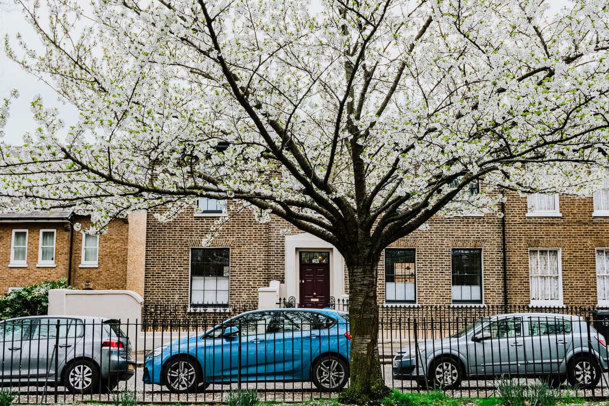 London Fields